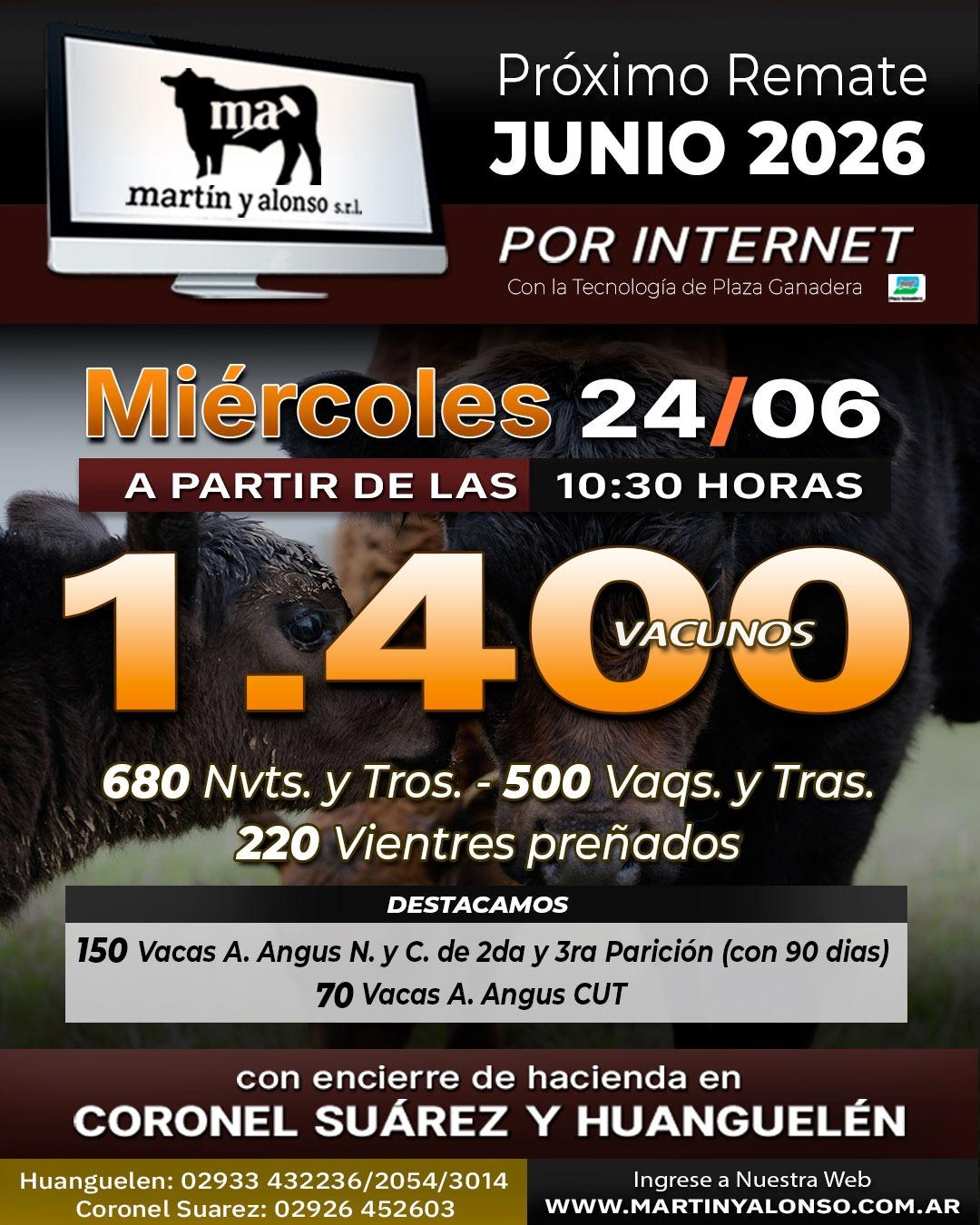 Afiche del remate
