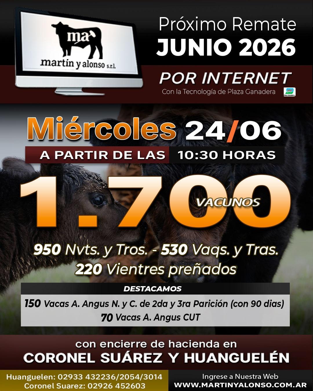 Afiche del remate