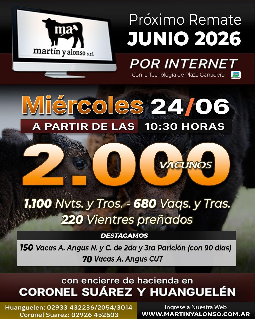 Afiche del remate